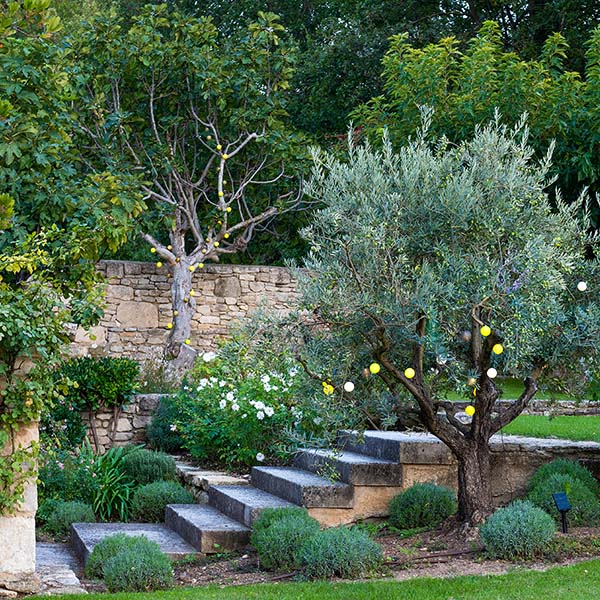 guirlande lumineuse arbre